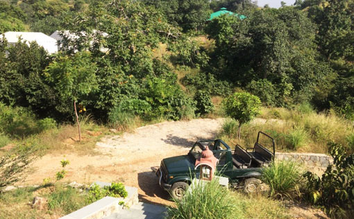 Hoppers Leeway Jungle Camp Kumbhalgarh Wedding